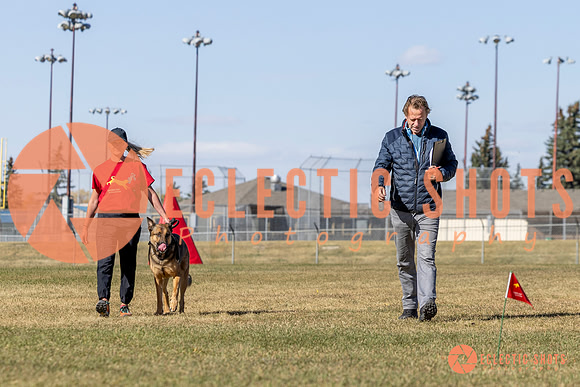 K9ForceCup2025-1035