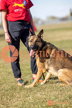 K9ForceCup2025-1067