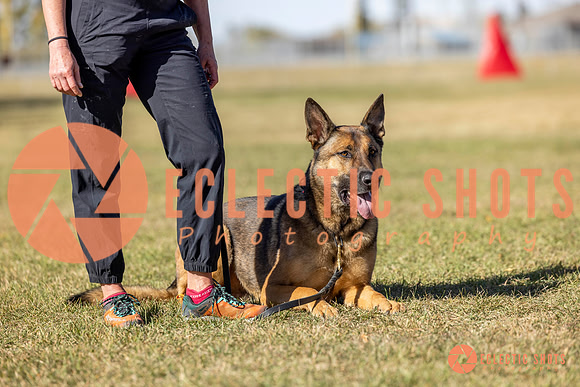 K9ForceCup2025-1079