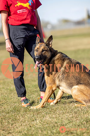 K9ForceCup2025-1073