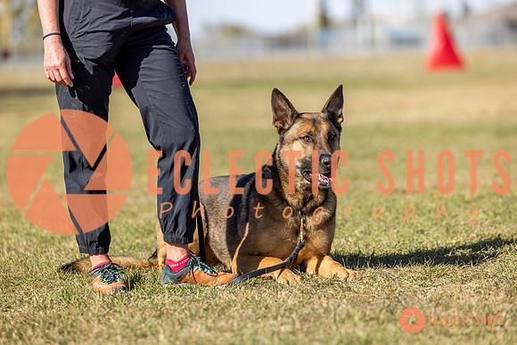 K9ForceCup2025-1080