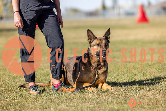 K9ForceCup2025-1081