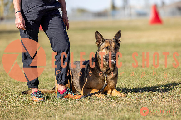 K9ForceCup2025-1082