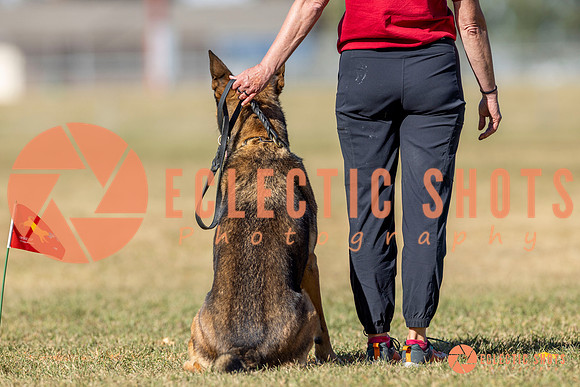 K9ForceCup2025-2992