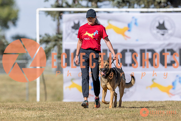 K9ForceCup2025-3005