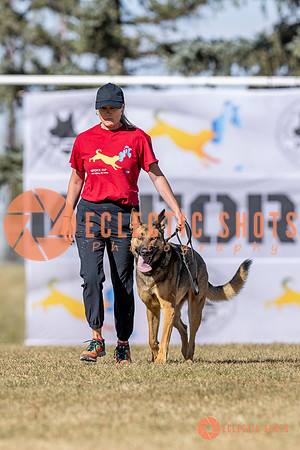 K9ForceCup2025-3004