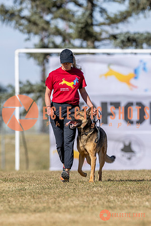 K9ForceCup2025-3008