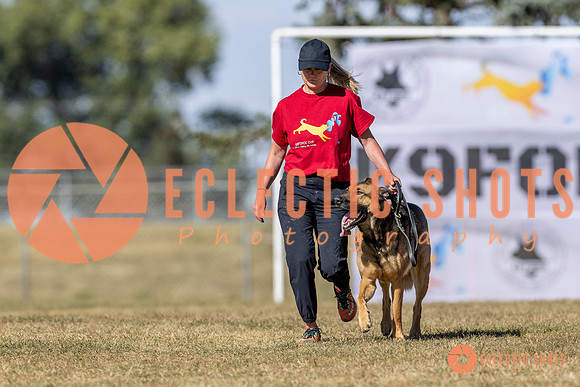 K9ForceCup2025-3010