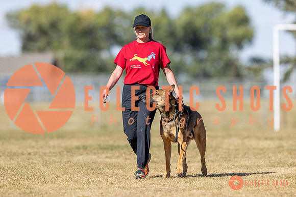 K9ForceCup2025-3036