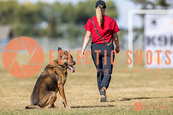 K9ForceCup2025-3037