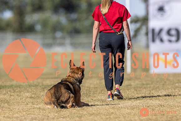 K9ForceCup2025-3054