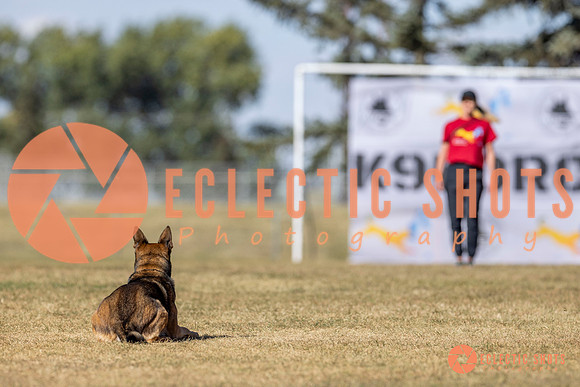 K9ForceCup2025-3059