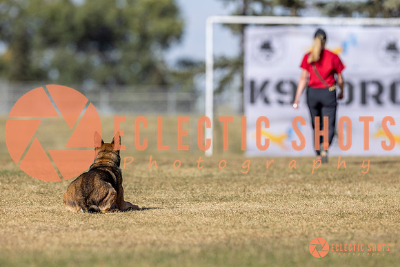 K9ForceCup2025-3056