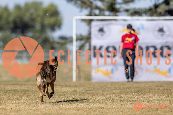 K9ForceCup2025-3060