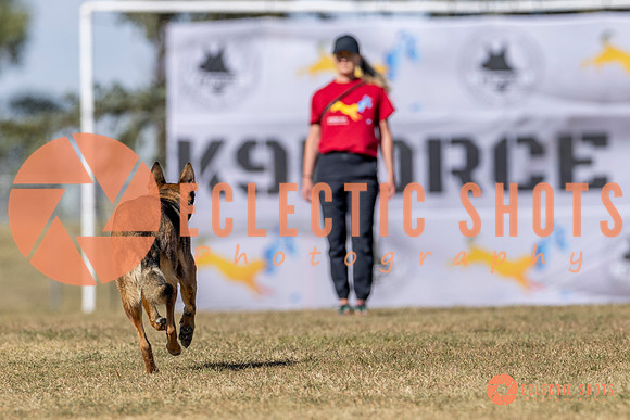 K9ForceCup2025-3068