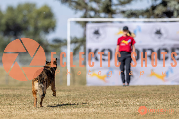 K9ForceCup2025-3062