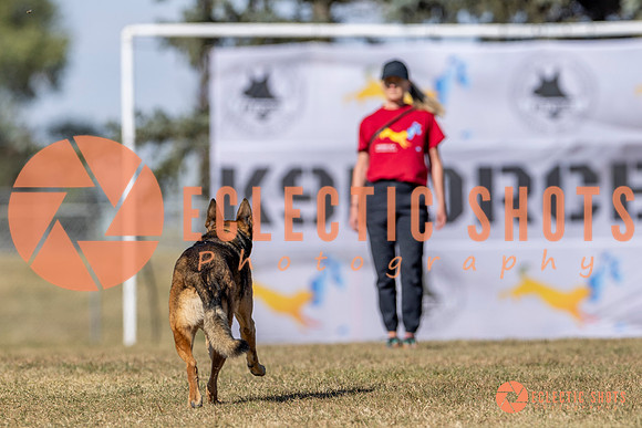 K9ForceCup2025-3070