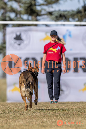 K9ForceCup2025-3079