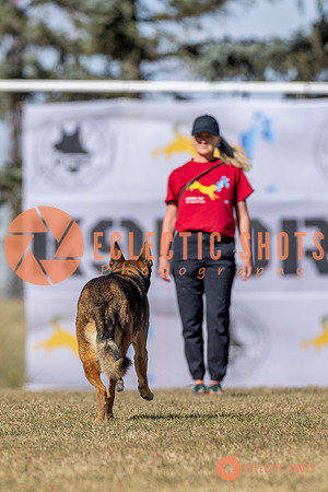K9ForceCup2025-3080