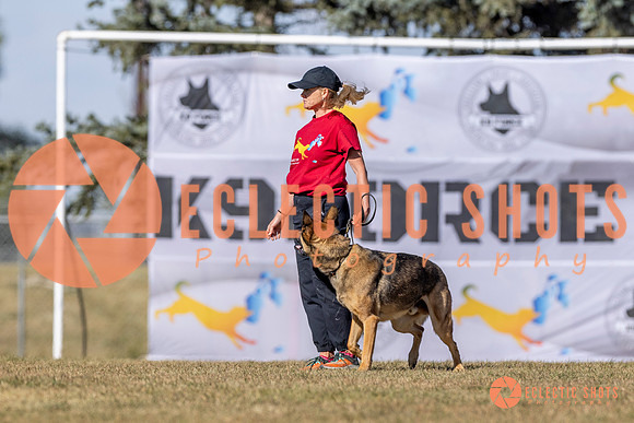 K9ForceCup2025-3132