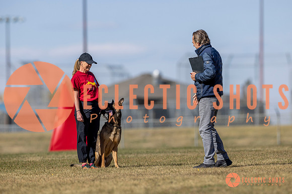 K9ForceCup2025-3410