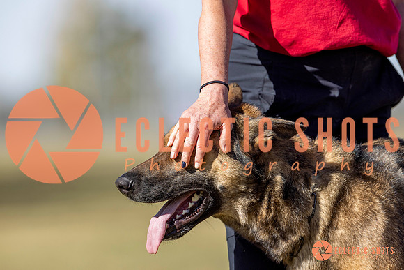 K9ForceCup2025-3425
