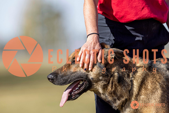 K9ForceCup2025-3428