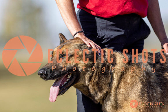 K9ForceCup2025-3436