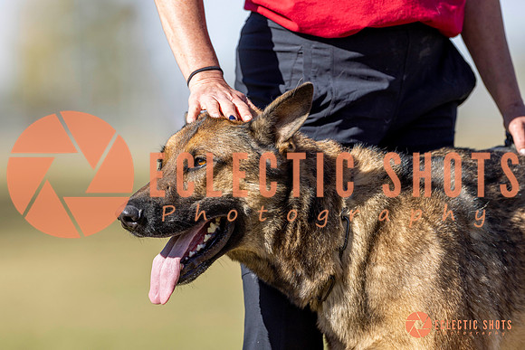 K9ForceCup2025-3440
