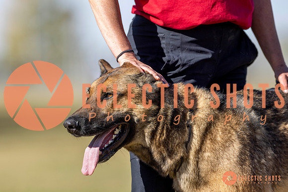 K9ForceCup2025-3438