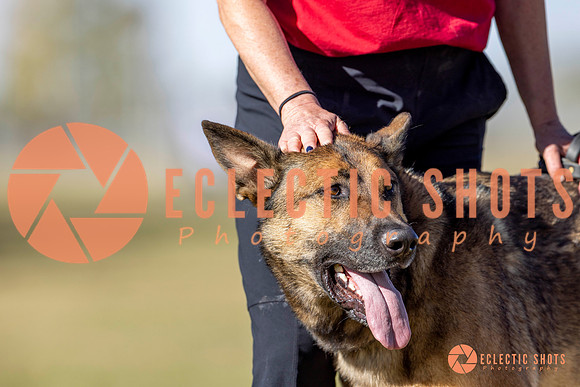 K9ForceCup2025-3455
