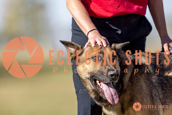 K9ForceCup2025-3451