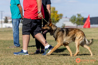 K9ForceCup2025-0986
