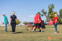 K9ForceCup2025-0990