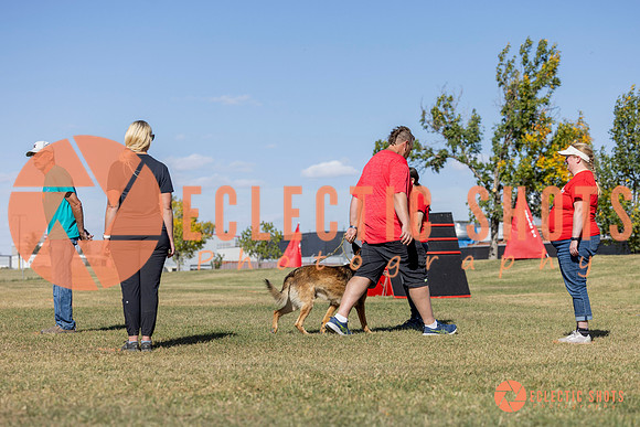 K9ForceCup2025-0990