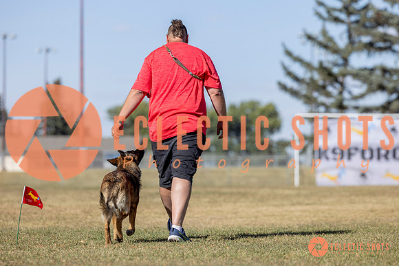 K9ForceCup2025-1024