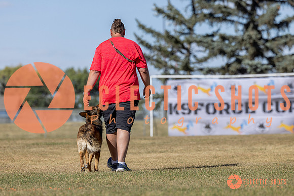 K9ForceCup2025-1030