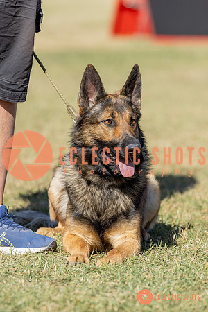 K9ForceCup2025-1044