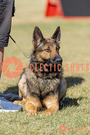 K9ForceCup2025-1058