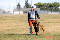 2025K9ForceCup-3493