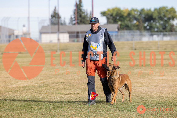 2025K9ForceCup-3493