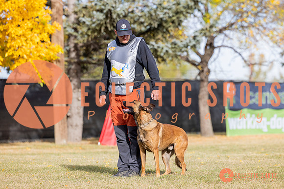 2025K9ForceCup-3496
