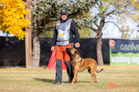 2025K9ForceCup-3495