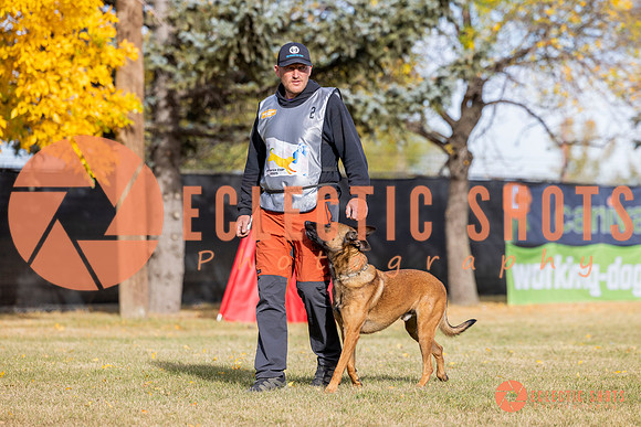 2025K9ForceCup-3495