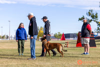 2025K9ForceCup-3503