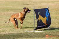 2025K9ForceCup-3507