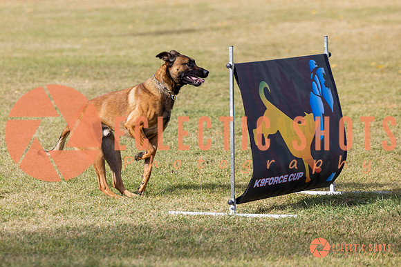 2025K9ForceCup-3507