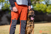 2025K9ForceCup-3526