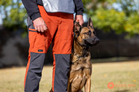2025K9ForceCup-3527