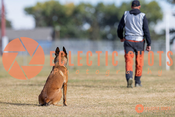 2025K9ForceCup-3673